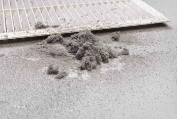 Best Affordable Duct Cleaning Services  in Lockeford, CA